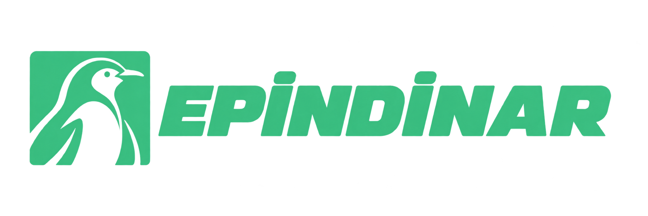 Epin Dinar